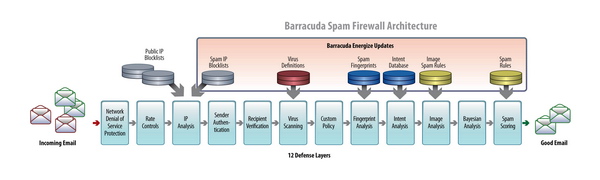 Barracuda